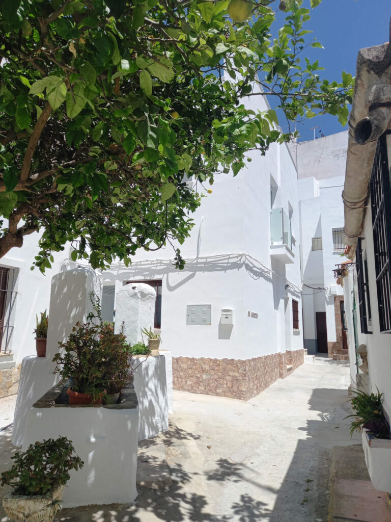 Apartamento El Cuartel en Conil Centro apartamento El Cuartel Conil centro patio