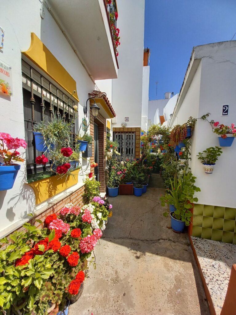Flower district in Conil with colorful flowerpots and typical white houses