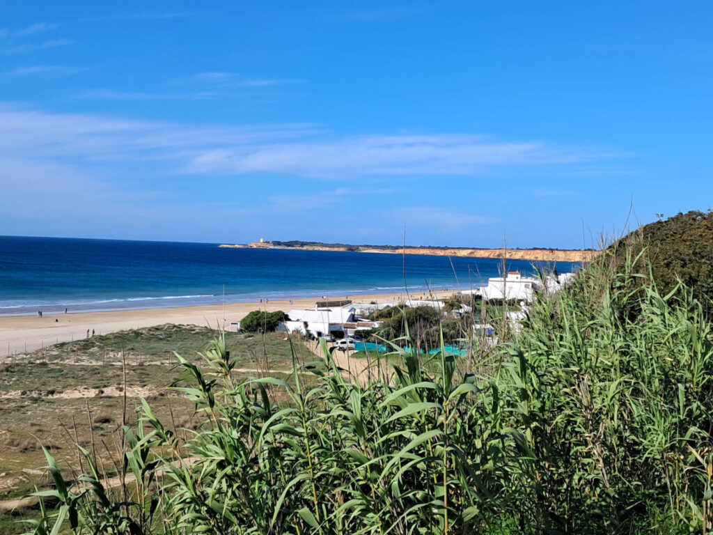 Fontanilla Beach in Conil, a wide beach with golden sand and crystal clear waters on the Costa de la Luz