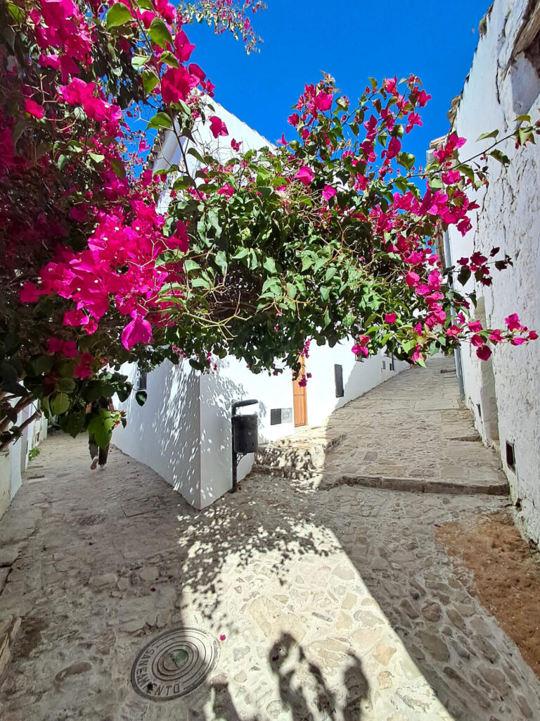 Excursion to the Sierra de Cadiz from our apartments in Conil