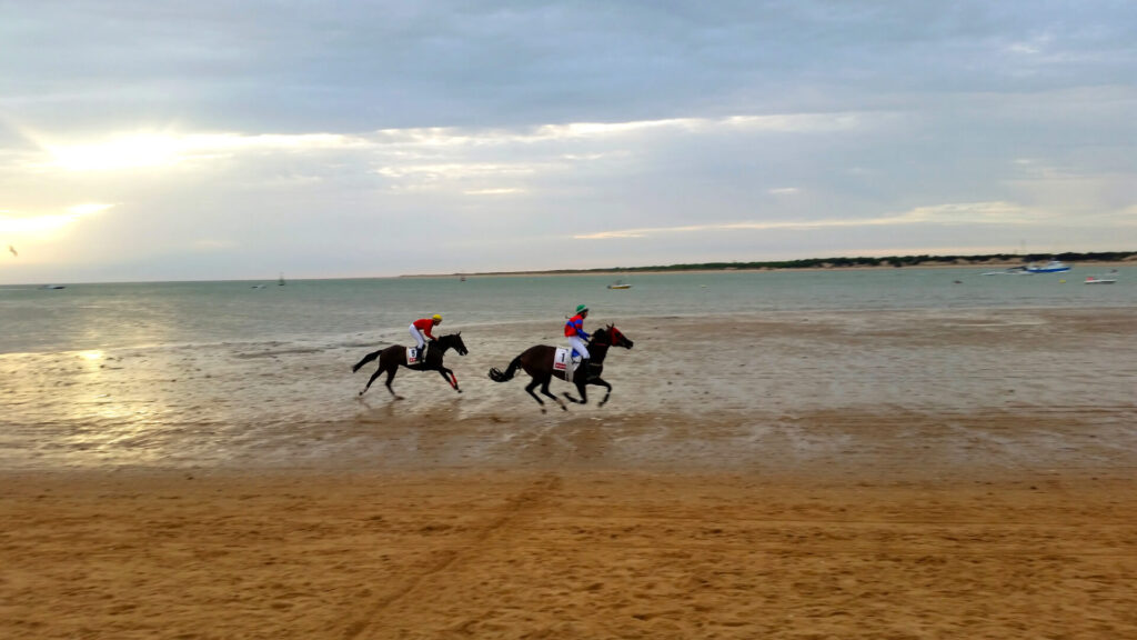 Enjoying the horse races on the beach of Sanlucar de Barrameda