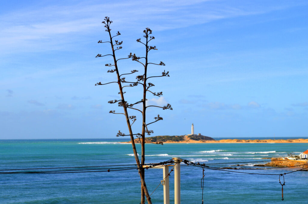Excursion to the Trafalgar Lighthouse from our apartments in Conil
