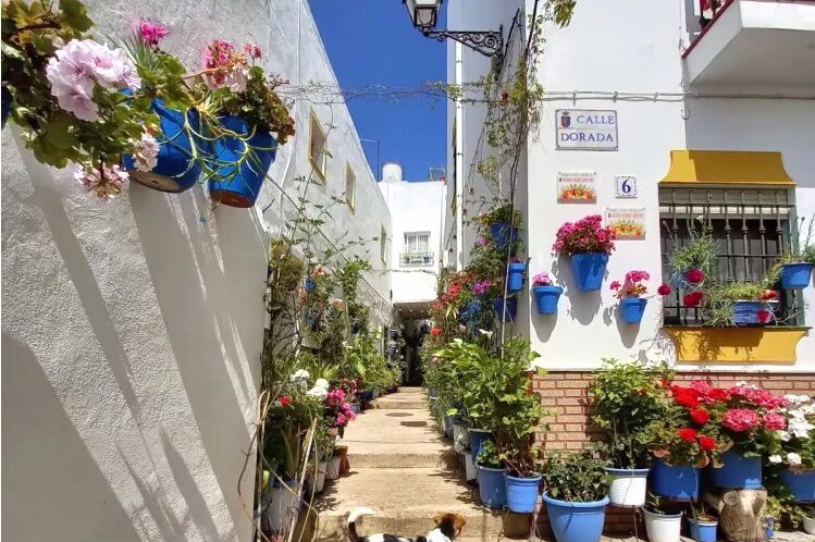 El Barrio de los Pescadores: el rincón más florido y fotogénico de Conil Conil barrio pescadores