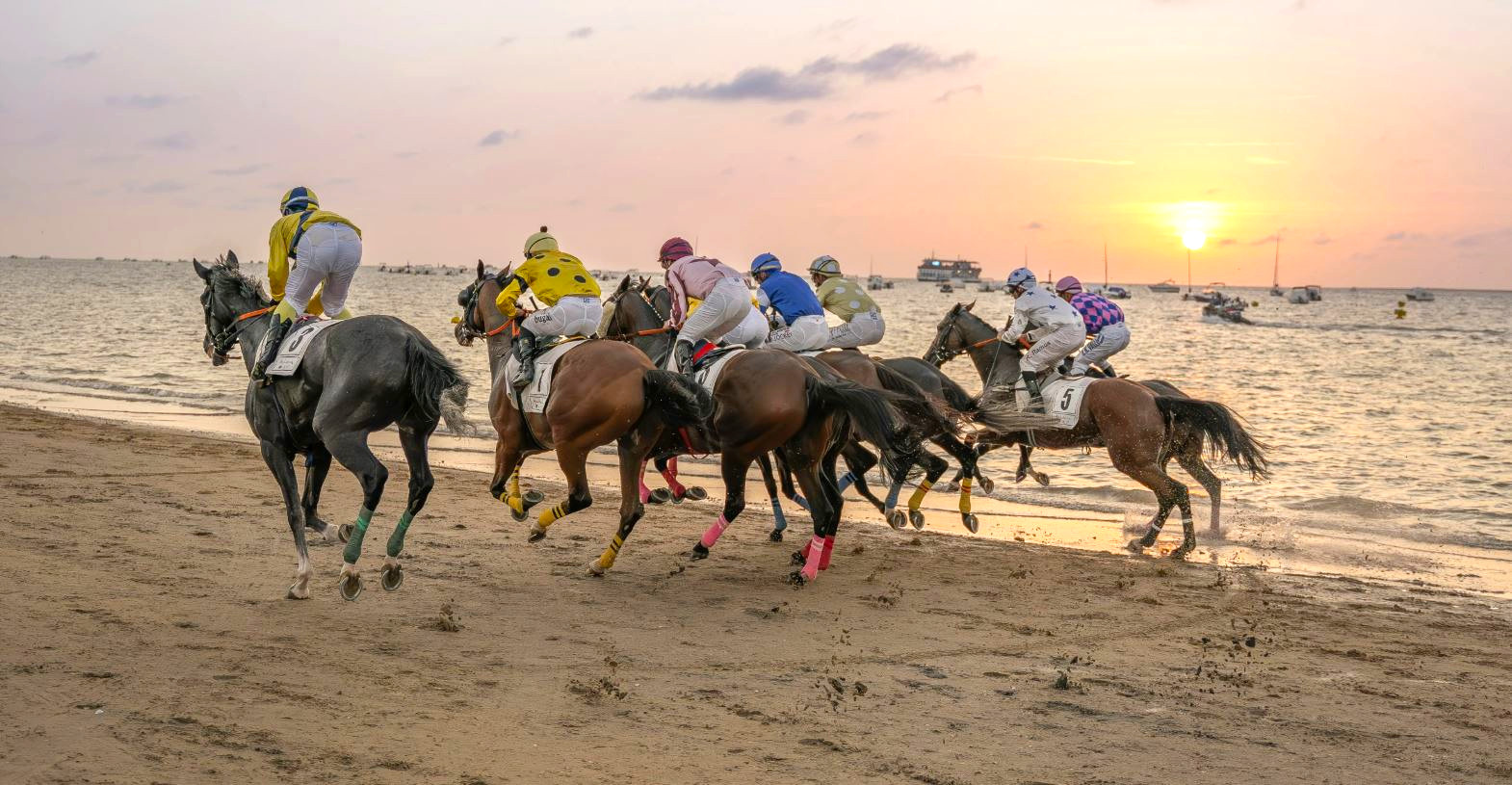 careras caballo sanlucar